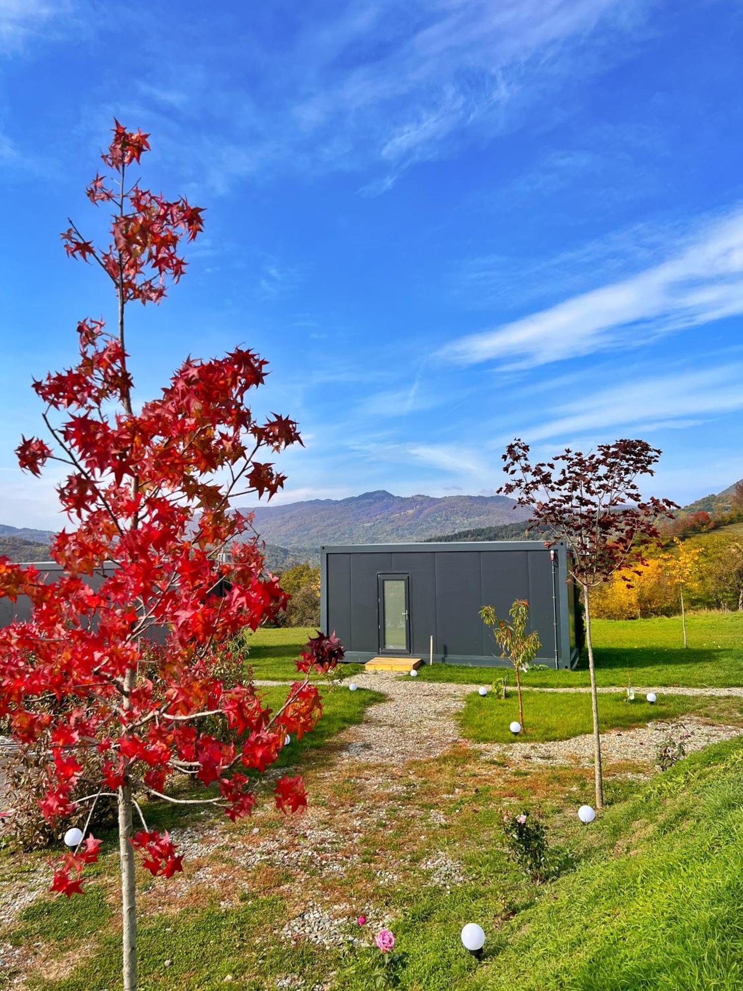 Hotel Flandra Glamping à Corbeni Extérieur photo