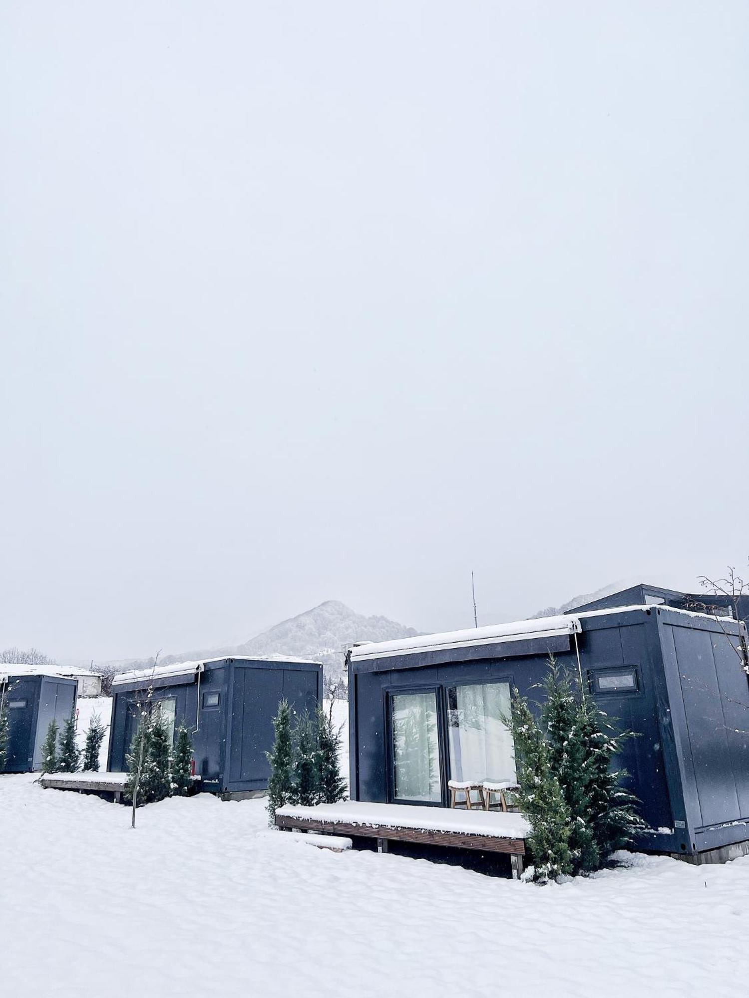 Hotel Flandra Glamping à Corbeni Extérieur photo